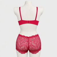 Beautiful Bridal Padded Push-up Bra Panty Set