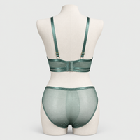 Premium Intimate Padded Wired Bra with Matching Panty