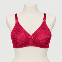 Ice Silk Daily Wear Women Bra