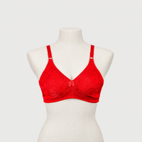 Ice Silk Daily Wear Women Bra
