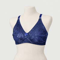 Ice Silk Daily Wear Women Bra