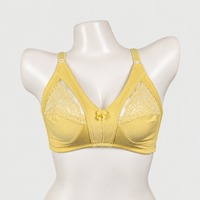 Half Net Cotton Daily Wear Bra