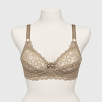 Lace Cotton Net Daily Wear bra