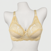 Half Cup Daily Wear Lace Bra