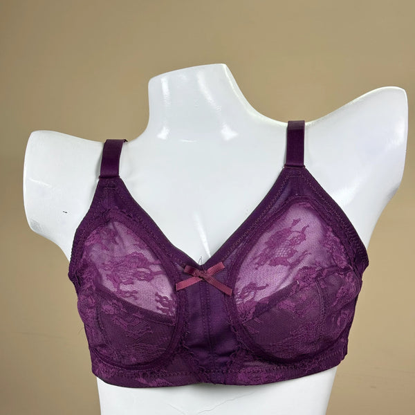 Plus Size Full Coverage Lacy Net Bra Soft & Breathable