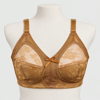 Plus Size Full Coverage Lacy Net Bra Soft & Breathable