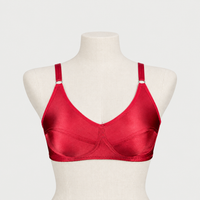 Very Soft Plain Silk Wire Free Bra